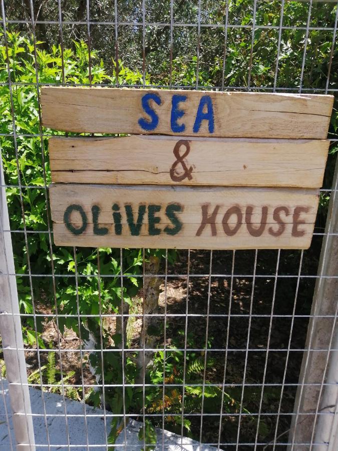 Villa Sea & Olives House Lixouri Esterno foto
