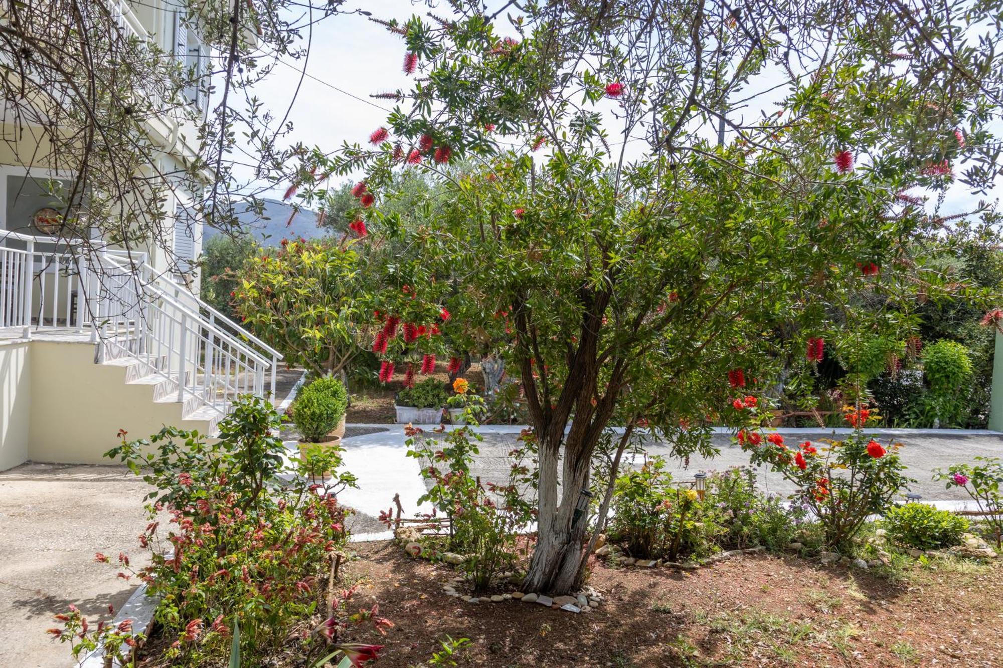 Villa Sea & Olives House Lixouri Esterno foto