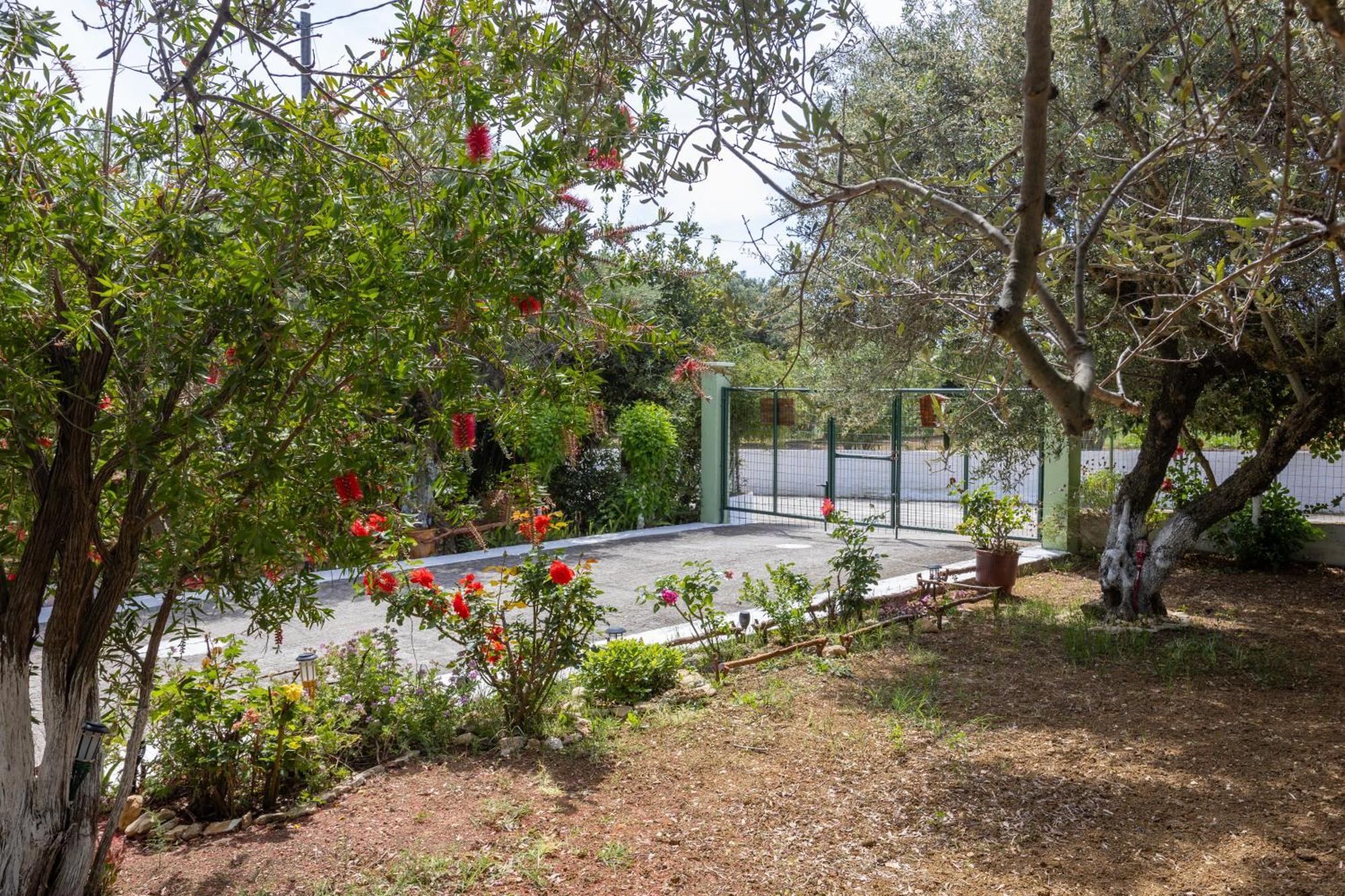 Villa Sea & Olives House Lixouri Esterno foto